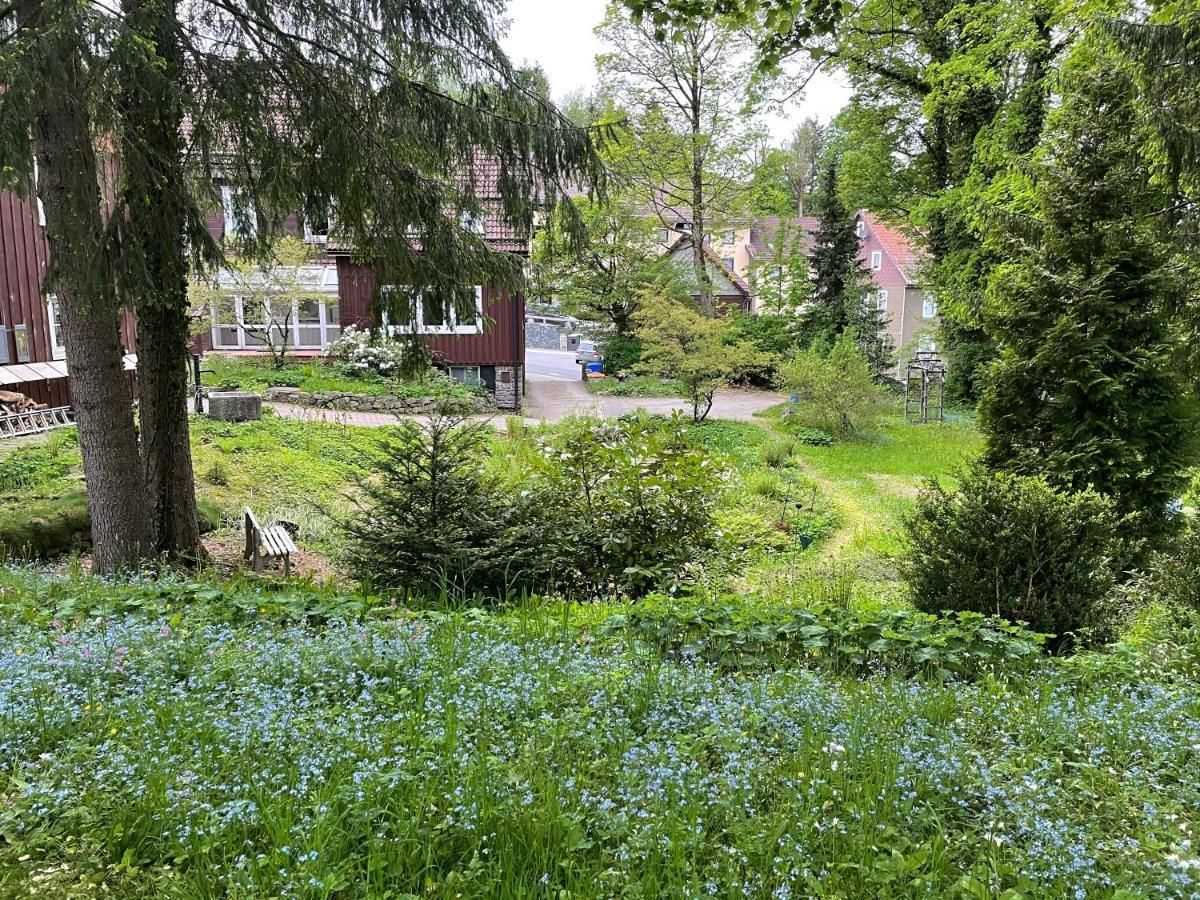 Liebevoll Eingerichtetes Ferienhaus Mit Grossem Garten เคลาส์ทาล-เซลเลอร์เฟลด์ ภายนอก รูปภาพ
