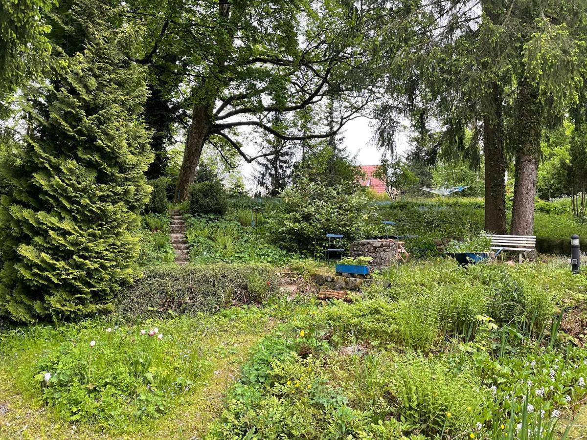 Liebevoll Eingerichtetes Ferienhaus Mit Grossem Garten เคลาส์ทาล-เซลเลอร์เฟลด์ ภายนอก รูปภาพ