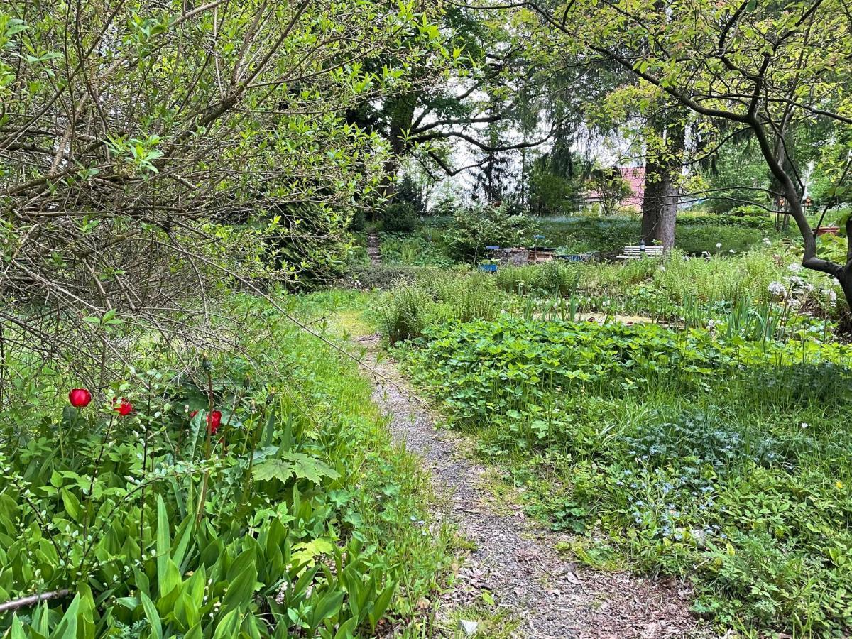 Liebevoll Eingerichtetes Ferienhaus Mit Grossem Garten เคลาส์ทาล-เซลเลอร์เฟลด์ ภายนอก รูปภาพ